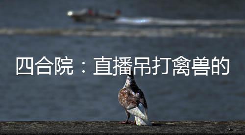 四合院：直播吊打禽兽的日常