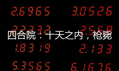 四合院：十天之内，枪毙全院