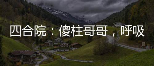 四合院：傻柱哥哥，呼吸就变强！