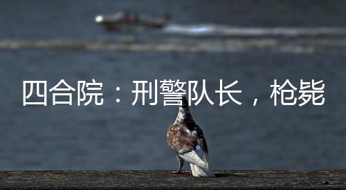 四合院：刑警队长，枪毙众禽