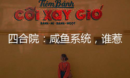 四合院：咸鱼系统，谁惹坑谁