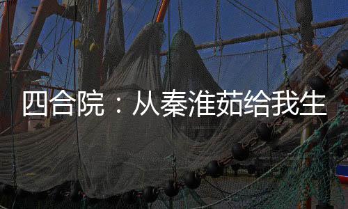 四合院：从秦淮茹给我生娃开始