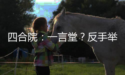 四合院：一言堂？反手举报复辟！