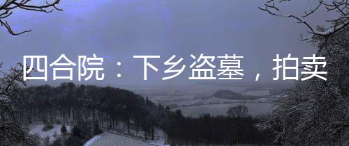 四合院：下乡盗墓，拍卖诸天万界