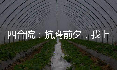 四合院：抗鹰前夕，我上交双穿门