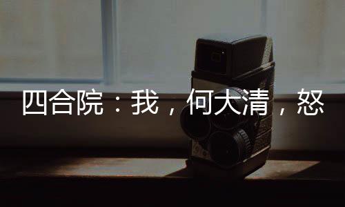 四合院：我，何大清，怒抽易中海