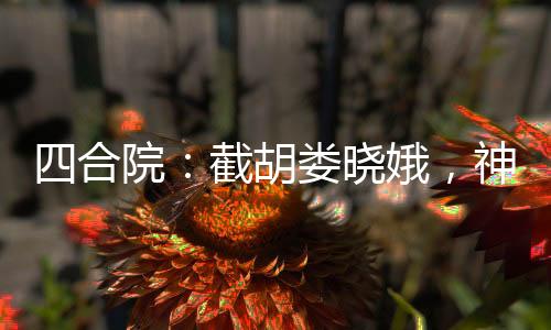 四合院：截胡娄晓娥，神级工程师