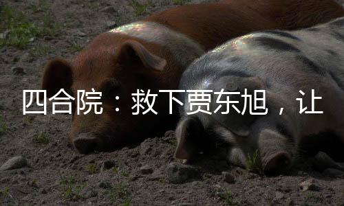 四合院：救下贾东旭，让他去啃老