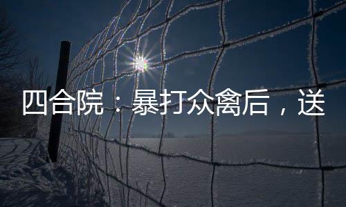 四合院：暴打众禽后，送他们入狱