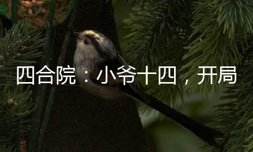 四合院：小爷十四，开局暴揍傻柱