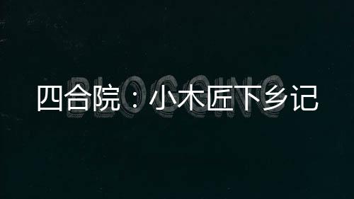 四合院：小木匠下乡记