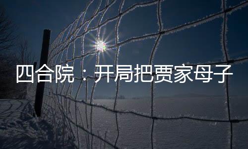 四合院：开局把贾家母子送进去