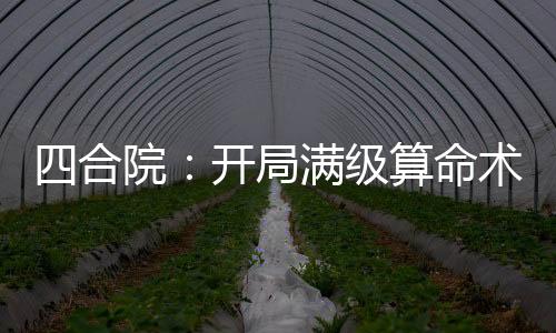 四合院：开局满级算命术