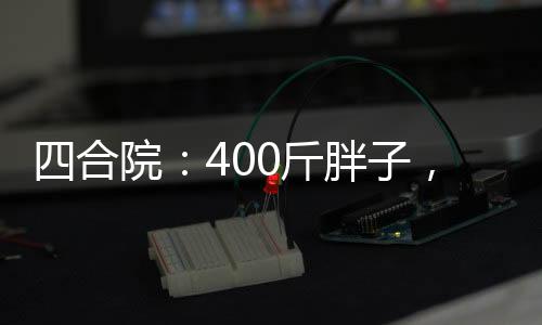 四合院：400斤胖子，弄坏秦淮