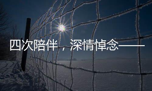 四次陪伴，深情悼念——与丈夫共同缅怀逝去的妻子