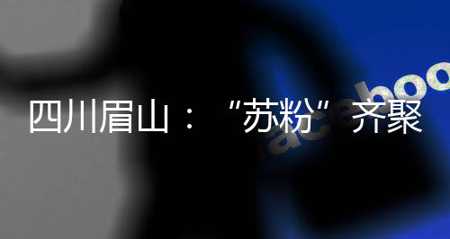 四川眉山：“苏粉”齐聚三苏祠为东坡庆生