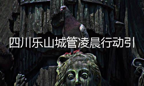 四川乐山城管凌晨行动引争议，疑撬门运走搅拌机事件调查