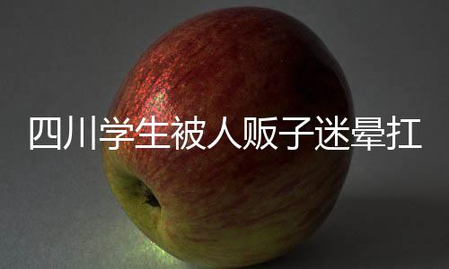 四川学生被人贩子迷晕扛走事件的真相揭秘