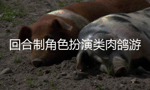 回合制角色扮演类肉鸽游戏《西格尔法勒》现已推出试玩Demo