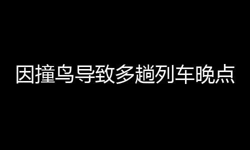 因撞鸟导致多趟列车晚点，铁路部门公开致歉
