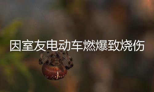因室友电动车燃爆致烧伤案将开庭