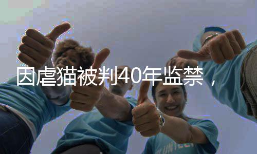 因虐猫被判40年监禁，法律对动物权益的坚决维护