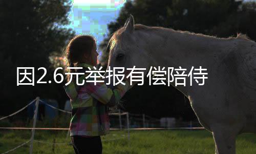 因2.6元举报有偿陪侍代驾小哥发声，背后的故事与法律探讨