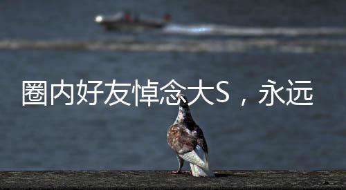 圈内好友悼念大S，永远的星光不再黯淡