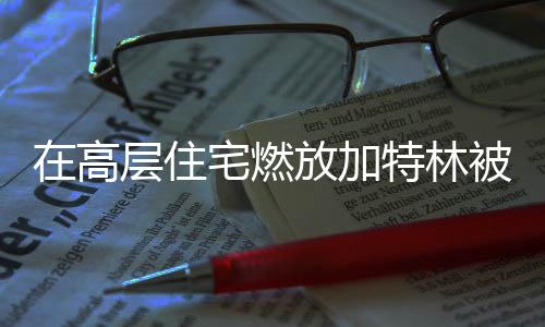在高层住宅燃放加特林被刑拘