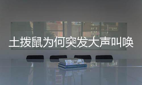 土拨鼠为何突发大声叫唤？探索其行为背后的奥秘