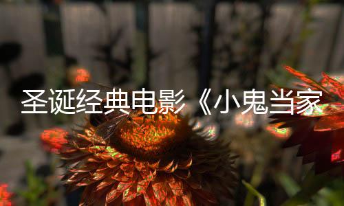圣诞经典电影《小鬼当家》：华纳错失4.76亿票房神话