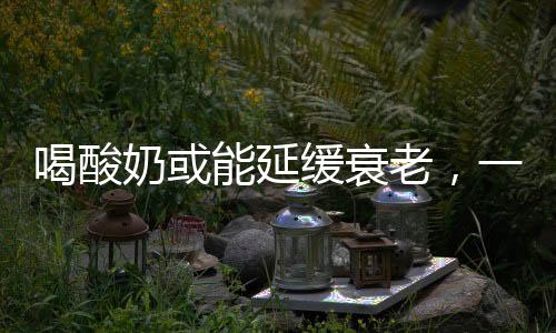 喝酸奶或能延缓衰老，一项健康研究的最新发现