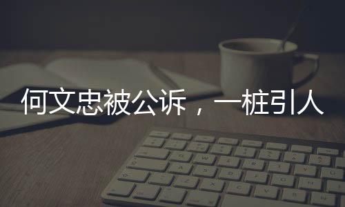 何文忠被公诉，一桩引人关注的司法事件