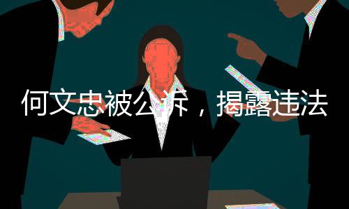 何文忠被公诉，揭露违法行为的严肃法律行动