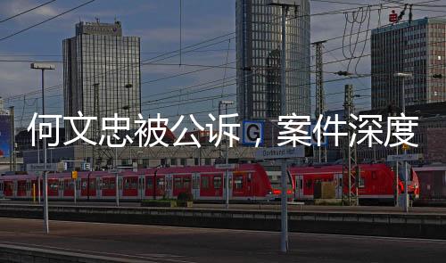 何文忠被公诉，案件深度解析与多方关注