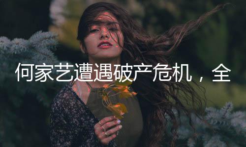 何家艺遭遇破产危机，全家倾力支援共度难关