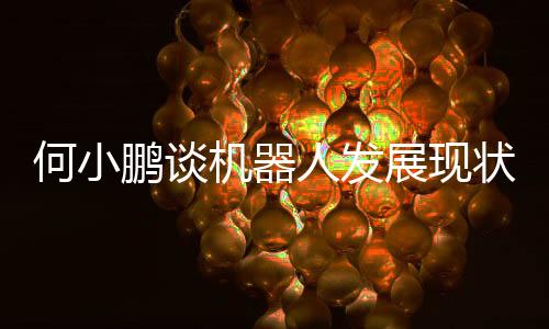 何小鹏谈机器人发展现状，当前多数机器人尚处于L2阶段