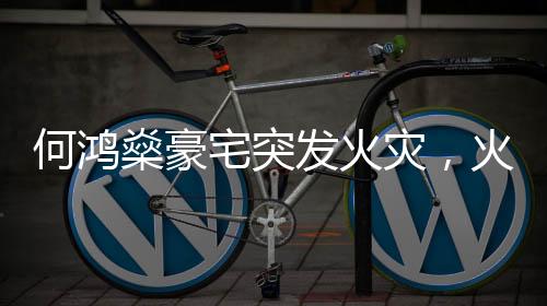 何鸿燊豪宅突发火灾，火势迅速被控制，幸无人伤亡