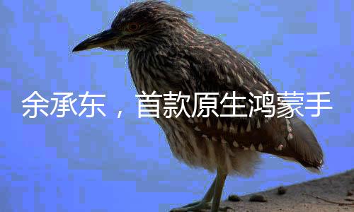 余承东，首款原生鸿蒙手机下周见