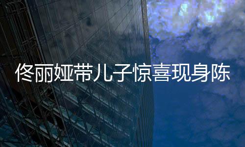 佟丽娅带儿子惊喜现身陈思诚工作室，明星亲子互动引发关注热潮