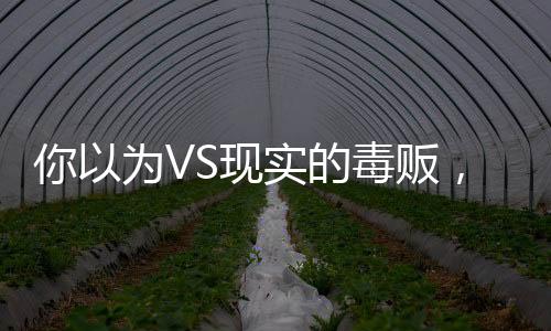 你以为VS现实的毒贩，揭开毒品交易的神秘面纱