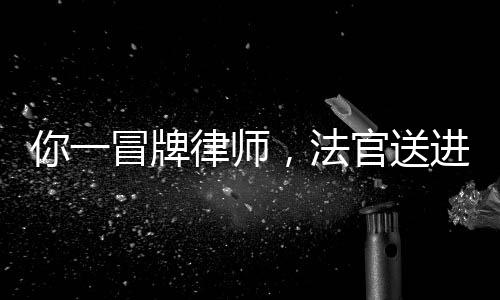 你一冒牌律师，法官送进去合理吗