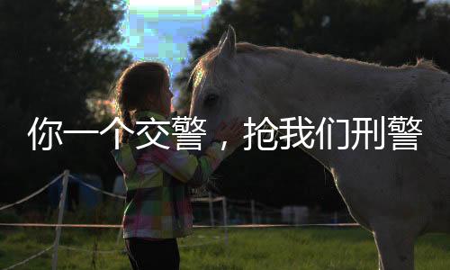 你一个交警，抢我们刑警的活？