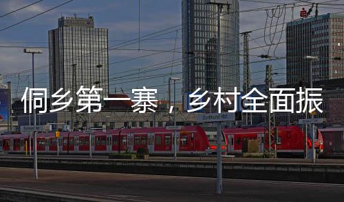 侗乡第一寨，乡村全面振兴的新图景