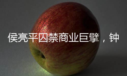 侯亮平囚禁商业巨擘，钟正国慌了