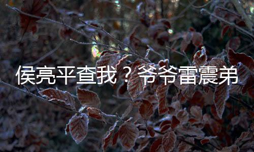 侯亮平查我？爷爷雷震弟子赵蒙生