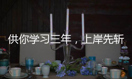 供你学习三年，上岸先斩意中人？