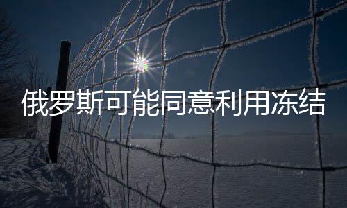 俄罗斯可能同意利用冻结资产支持乌克兰重建工作