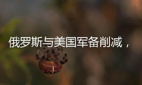 俄罗斯与美国军备削减，中国的选择与挑战