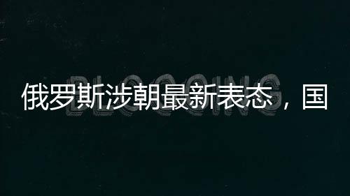 俄罗斯涉朝最新表态，国际社会关注下的新动向